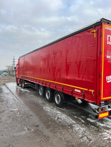 Тягачи: Тягач, DAF, 2018 г., Шторный — 7