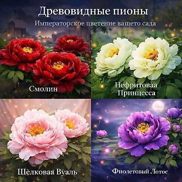 Другие садовые цветы и кустарники: Https://t.me/blooming_garden_kg Редкие и эффектные декоративные — 29