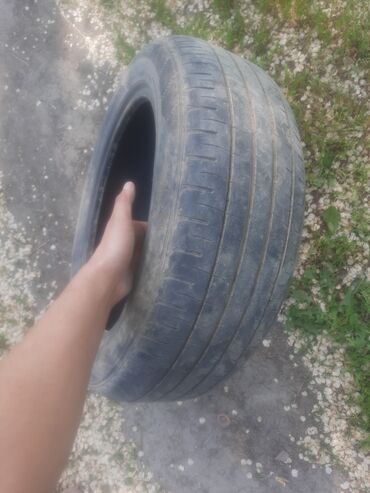 Шины: Шины 215 / 55 / R 17, Лето, Б/у, Легковые, Япония, Dunlop at lalafo.kg Шины: Шины 215 / 55 / R 17, Лето, Б/у, Легковые, Япония, Dunlop