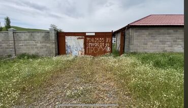 Сельхоз предприятия: 40 соток, Действующий, С оборудованием — 12