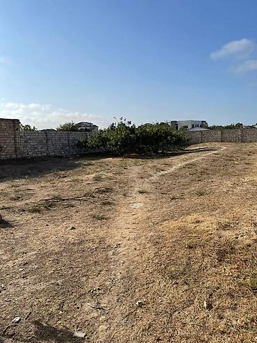 Torpaq sahələrinin satışı: 12 sot, Tikinti, Makler, Kupça (Çıxarış), Texniki pasport — 2