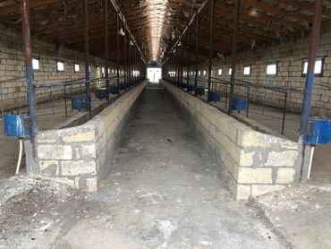 Kommersiya daşınmaz əmlakının satışı: 150 HEKTAR ƏRAZİ satılır İMİŞLİDƏ 110 HEKTAR Mülkiyyət Əkin — 16