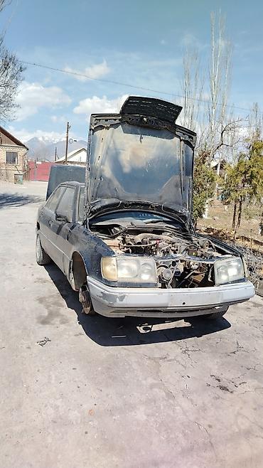 Продажа авто: Mercedes-Benz W124: 2026 г., Бензин, Седан — 2