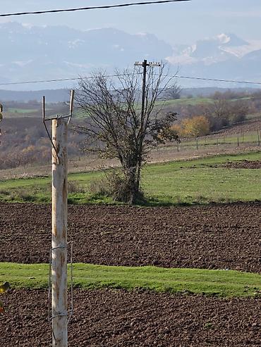 Su təchizatı: Sanitar-quraşdırma və hamam-tualet təmiri xidməti Təklif olunan — 20