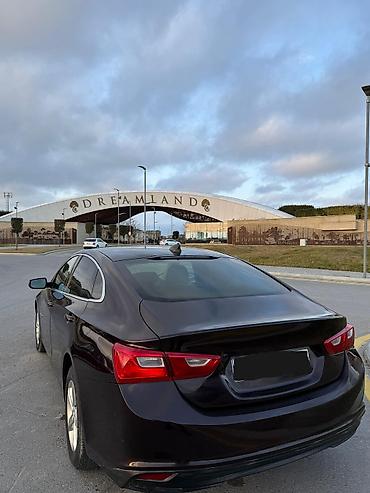 malibu 2020: Chevrolet Malibu: 1.5 l | 2020 il 84000 km Sedan — 4