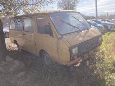 мопед рига 22 купить: RAF 2203: 1995 г., Механика, Бензин, Вэн/Минивэн