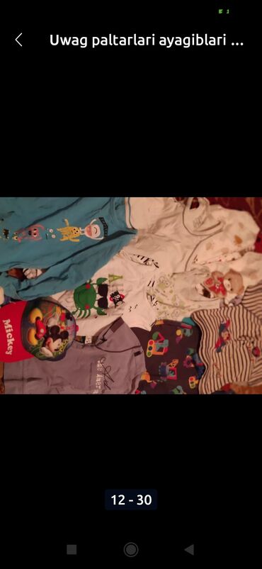 Pişiklər: Amerikan Shorthair, Erkək, Ünvandan götürmə — 8