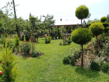 Günlük kirayə evlər: 120 kv. m, 4 otaqlı -da lalafo.az — 17 Günlük kirayə evlər: 120 kv. m, 4 otaqlı — 17