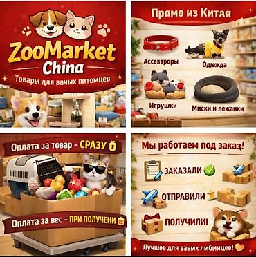 Зоотовары: Одежда, переноски и игрушки для домашних животных Ассортимент: - — 12