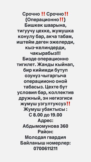 Швеи: Швея Прямострочка. Молодая Гвардия
