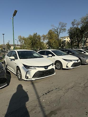 honda corolla: Toyota Corolla: 2020 г., 1.8 л, Вариатор, Гибрид, Седан — 7