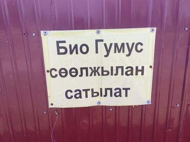 форель оптом: Удобрение Гумус, Самовывоз, Платная доставка