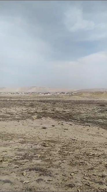 Torpaq: 80 sot, Tikinti, Mülkiyyətçi, Kupça (Çıxarış) — 5
