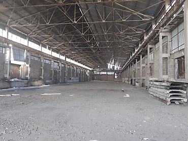 кирпичный завод кант: Завод, 14000 м² — 8