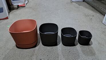 CD, DVD disklər və kassetlər: Dibcek qabi dibcek qablari gul qabi gul qablari bag ucun dibcek — 30