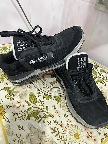 lacoste кроссовки: Кроссовки Lacoste мужские - Модель: кроссовки с фирменным — 1