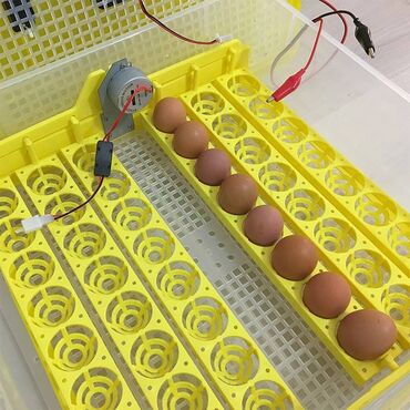 Другая бытовая техника: Лоток с механизмом поворота на 48 98 куриных яиц 63 индюшиных