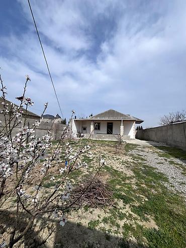 kürdexan: 5 otaqlı, 110 kv. m, Kredit yoxdur, Yeni təmirli — 10