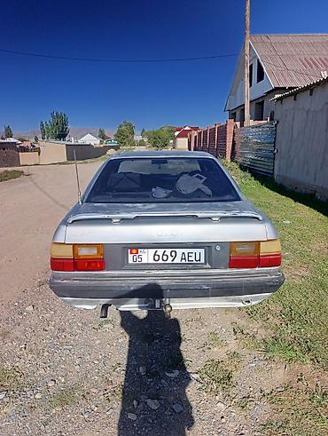 crown 2.5: Audi 100: 1989 г., Седан — 1