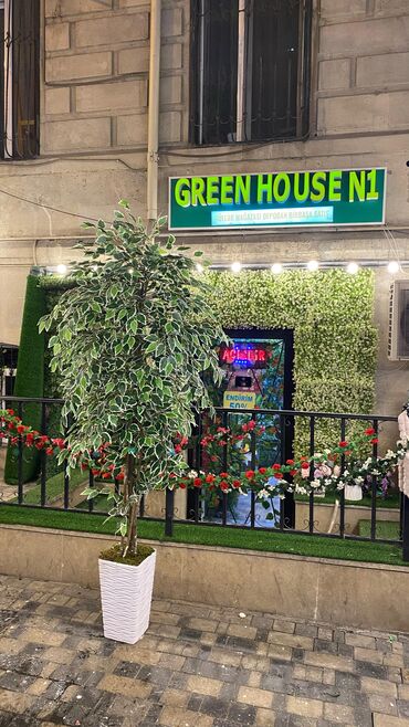 Ağaclar: Depodan bir basa satis 70azn baslayan dekarativ suni agaclar topdan — 30