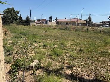 Digər daşınmaz kommersiya əmlakı icarəsi: Parnik İcarəyə Verilir – Zirə qəsəbəsi Zirə qəsəbəsində, əsas yoldan — 14