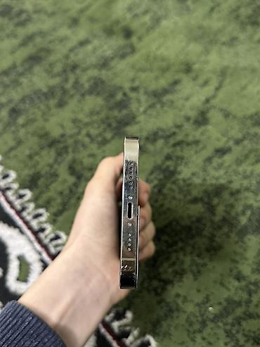 Apple iPhone: IPhone 13 Pro Max, Серебристый — 6