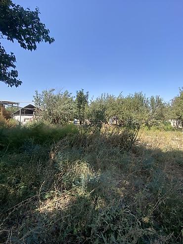 Продажа участков: 20 соток, Для строительства, Красная книга, Тех паспорт, Договор купли-продажи — 12