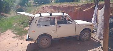 нива урбан: ВАЗ (ЛАДА) 2121 (4x4): 1980 г., Механика, Бензин, Внедорожник — 4