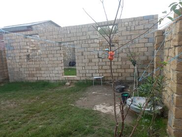 Torpaq sahələrinin satışı: 3 sot, Tikinti, Mülkiyyətçi, Kupça (Çıxarış) — 8