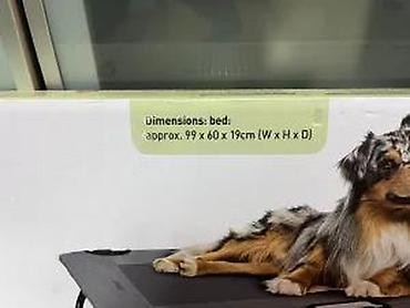 Oprema za kućne ljubimce: Povišeni sklopivi krevet za pse – model 472433 - Povišen položaj — 13