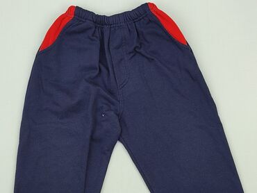 Trousers: Shorts for men, L (EU 40), condition - Very good