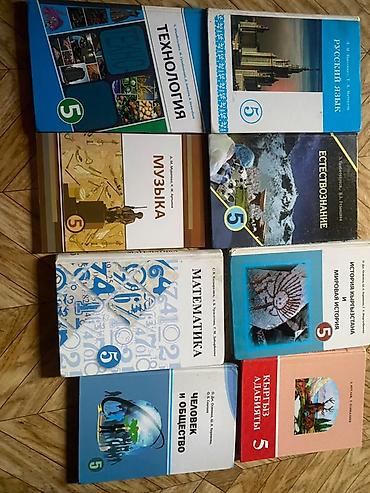 Комплект школьных учебников для 5 класса (Кыргызстан). В набор