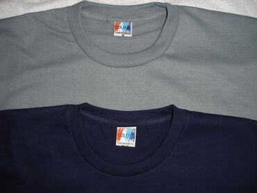 Футболки: Однотонные Футболки Плотность 300 г. / м Colour Футболки Оптом — 10