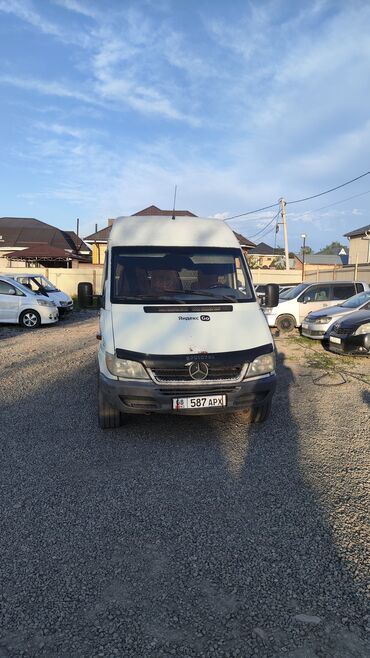 Автобусы и маршрутки: Автобус, 2002 г.