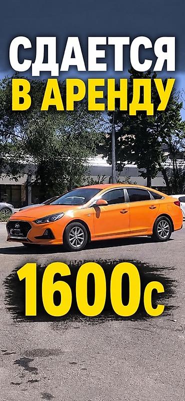 аренда авто равон: Сдаю Hyundai Sonata, Долгосрочно, | Залог, Предоплата, Ремонт мотора от арендодателя — 1