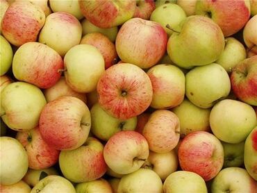 купить 1 литровые стеклянные банки: Яблоки Оптом