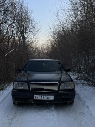 Mercedes-Benz: Mercedes-Benz S-Class: 1993 г., 5 л, Автомат, Бензин, Седан