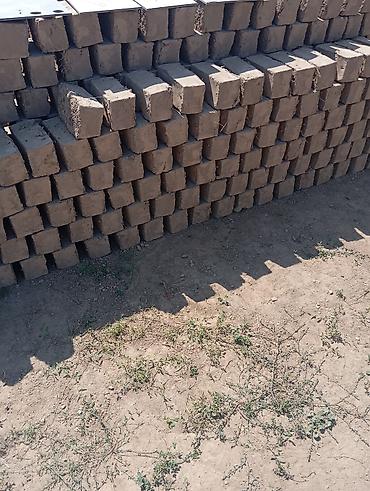 забой кур: Чийки кирпич — 1