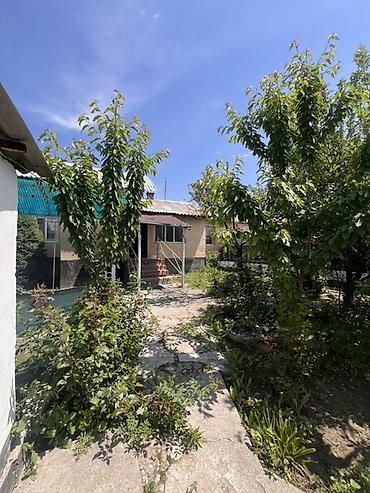 Продажа полдома: Продаю дом В селе Кунтуу, большой двор, 4 сарая, тапчан, навес — 6