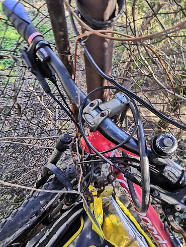 Bicikli za odrasle: Cannondale F5 s7 brzina U dobrom stanju,26 tocak, Polovan koriscen za — 4