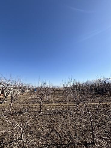 Продажа участков: 14 соток, Для строительства, Красная книга — 9