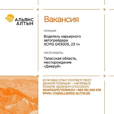 мед инструменты: Альянс Алтын открывает вакансии на месторождении «Джеруй» (Таласская — 4