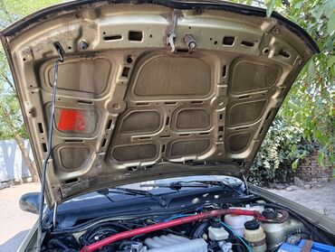 Daewoo: Daewoo Nexia: 2006 г., 1.6 л, Механика, Бензин, Седан — 16