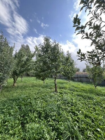 Продажа домов: Дом, 500 м², 6 комнат, Собственник, ПСО (под самоотделку) — 29