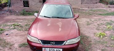 Opel: Opel Vectra: 2001 г., 1.6 л, Механика, Бензин, Седан