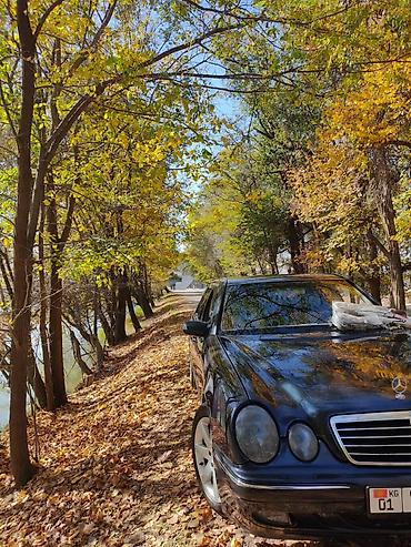 матиз 2 радиатор: Mercedes-Benz E-Class: 2002 г., 2.8 л, Автомат, Бензин, Седан — 3
