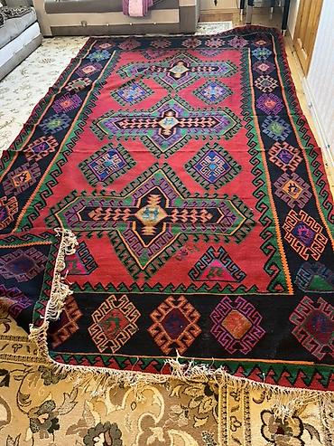 tikanlı bitkilər: Xalça Dekorativ, Kredit yoxdur — 6