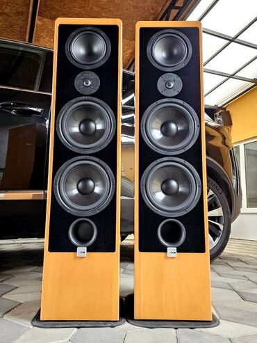 Zvučnici i stereo sistemi: Canton Ergo RC-L (Bukva) Snažne i zvučno veoma kvalitetne zvučne — 3