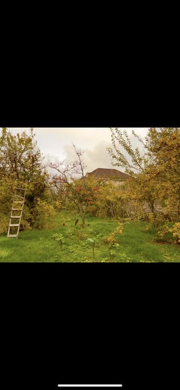 Günlük kirayə evlər: 300 kv. m, 8 otaq, Qaz — 14