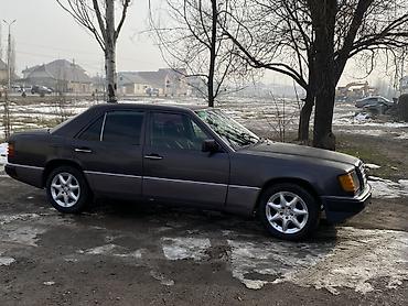 Mercedes-Benz: Mercedes-Benz W124: 1992 г., 2.3 л, Механика, Бензин, Седан — 2